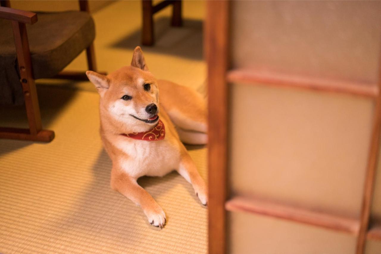 Makoto Kyomachi * Kyoto